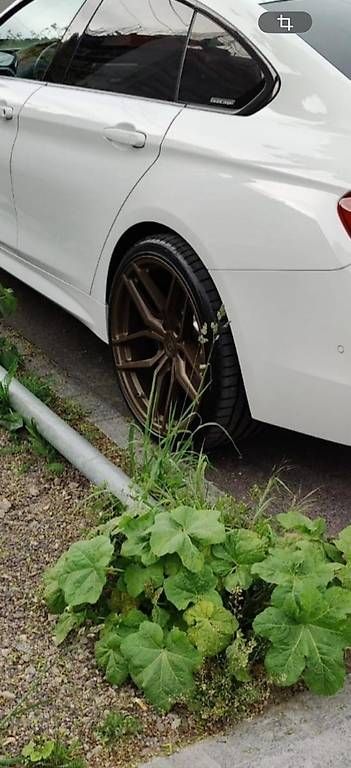 Cerchioni: Z-Performance Felgen inkl. Eignungserklärung – Usato da Dietikon venduto da rem_xqc9 2