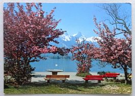 Am Thunersee (Hünibach), Stockhorn