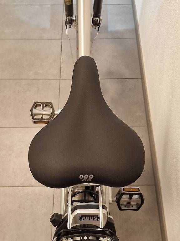 Flyer Biciclette: Top Flyer E-Bike – Usato da Derendingen venduto da Vanja89 2