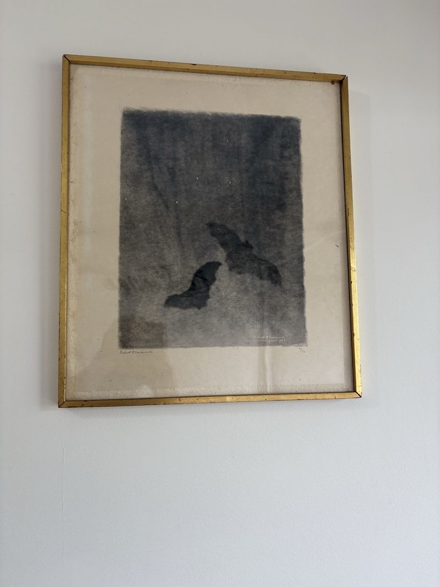 Dipinti: Tableau Robert Hainard  – Usato da petit lancy venduto da FerreiraLuis