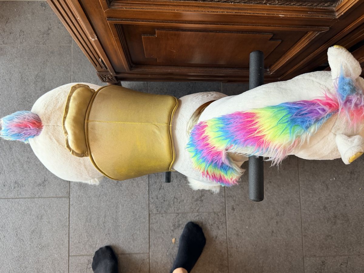 Bea Spielzeuge: Reittier Regenbogen – Gebraucht aus Liebefeld von Loleb 5