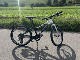 Kindervelo Crosswave Prime Rider - 20 Zoll