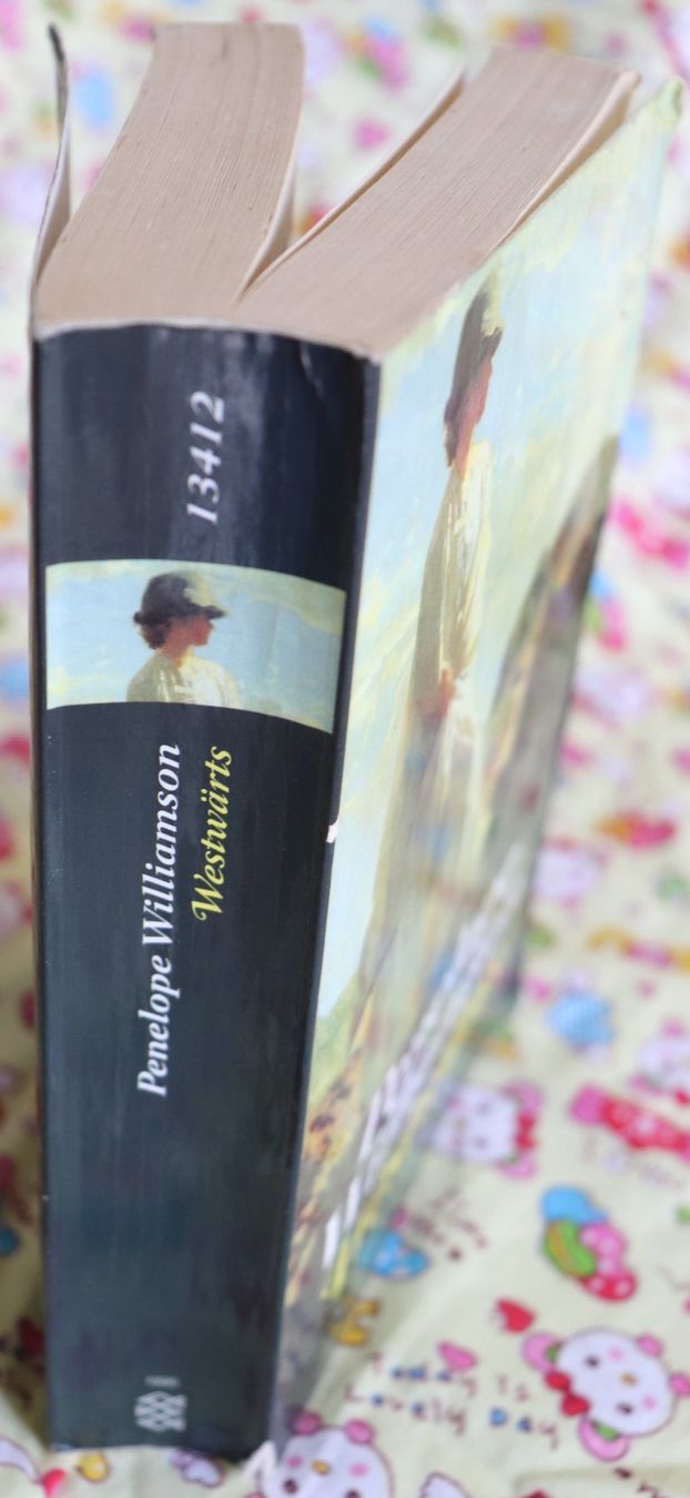 Libri: Westwärts von Penelope Williamson – Usato da Glattfelden venduto da Vrenely 2