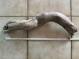 Pièce de bois flotté, branche d'arbre, décoration