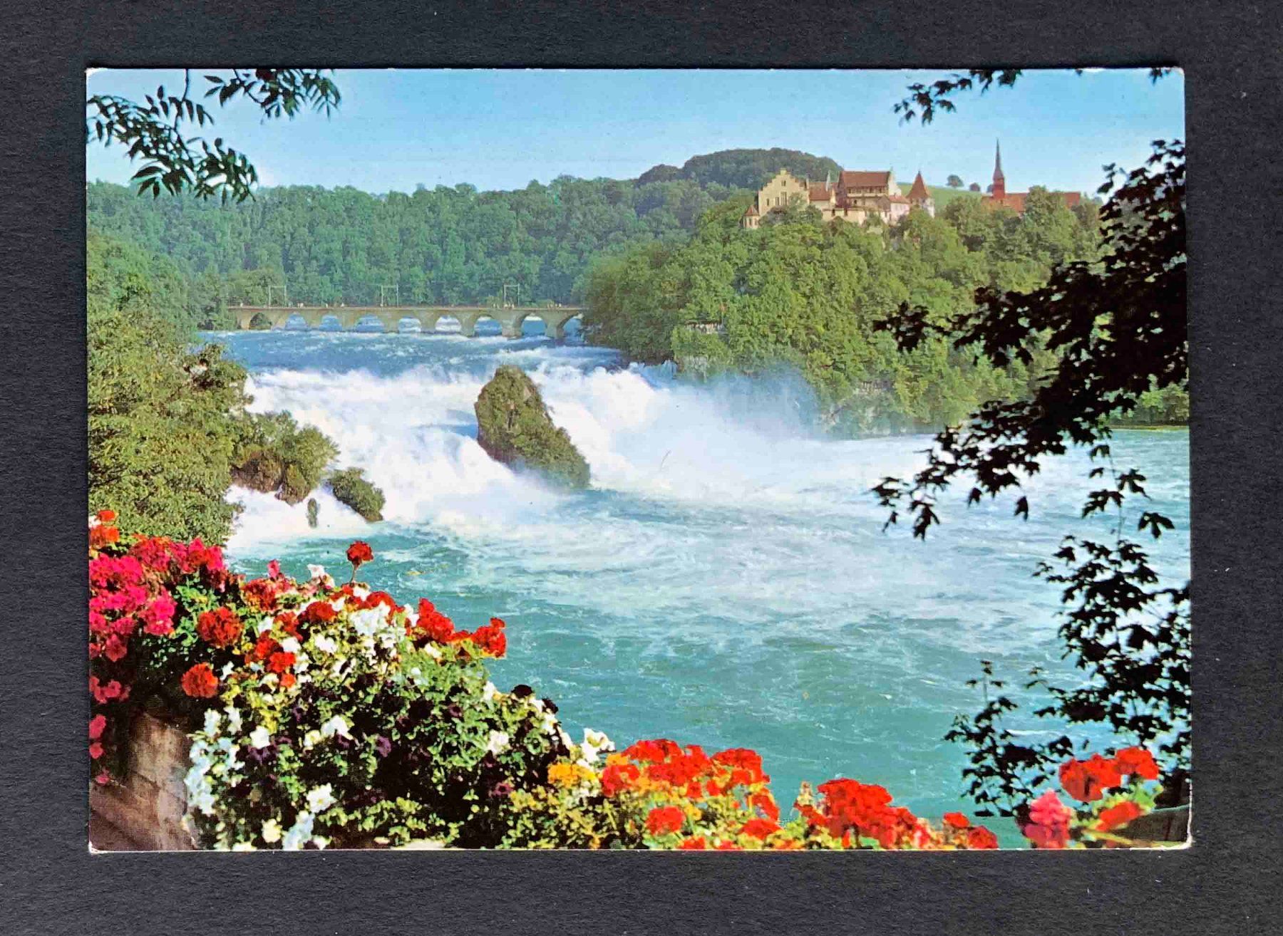 Cartoline postali: AK Rheinfall mit Schloss Laufen – Usato da Goldau venduto da artelier1