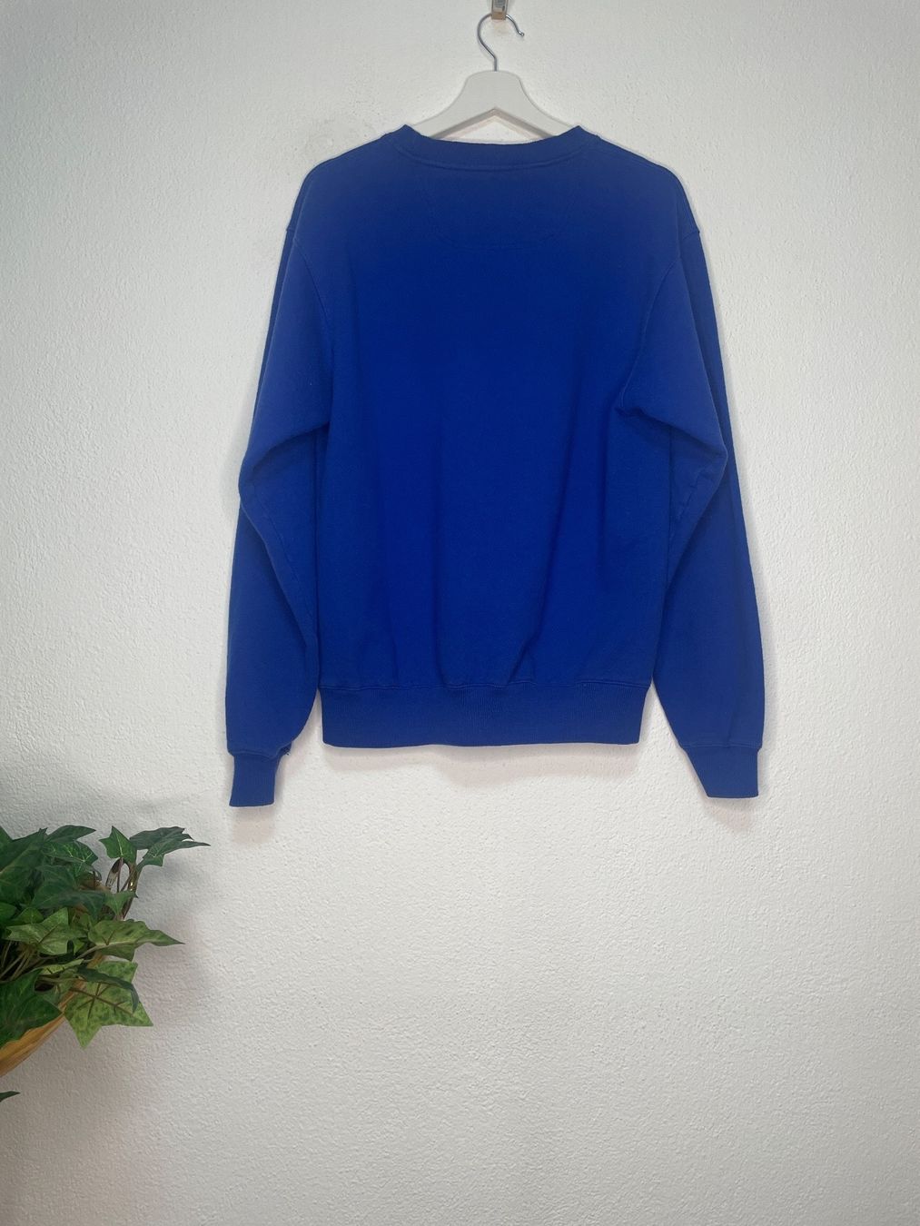 Champion Pullover & Sweatshirts: Champion Sweatshirt hell blau M. – Gebraucht aus Capolago von LA.BOTTEGA 1