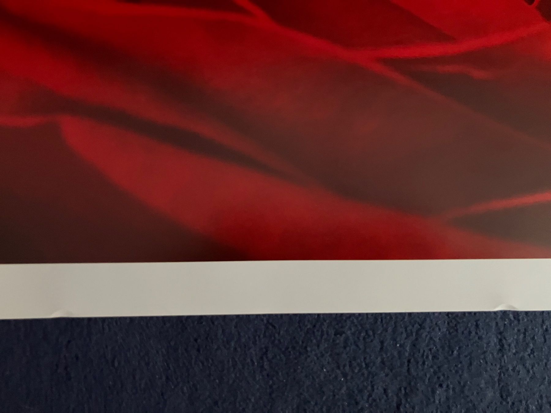 Foto & Immagini: Poster mit Motiv Rose 33x95 cm – Nuovo (secondo la descrizione) da Kloten venduto da dkra 4