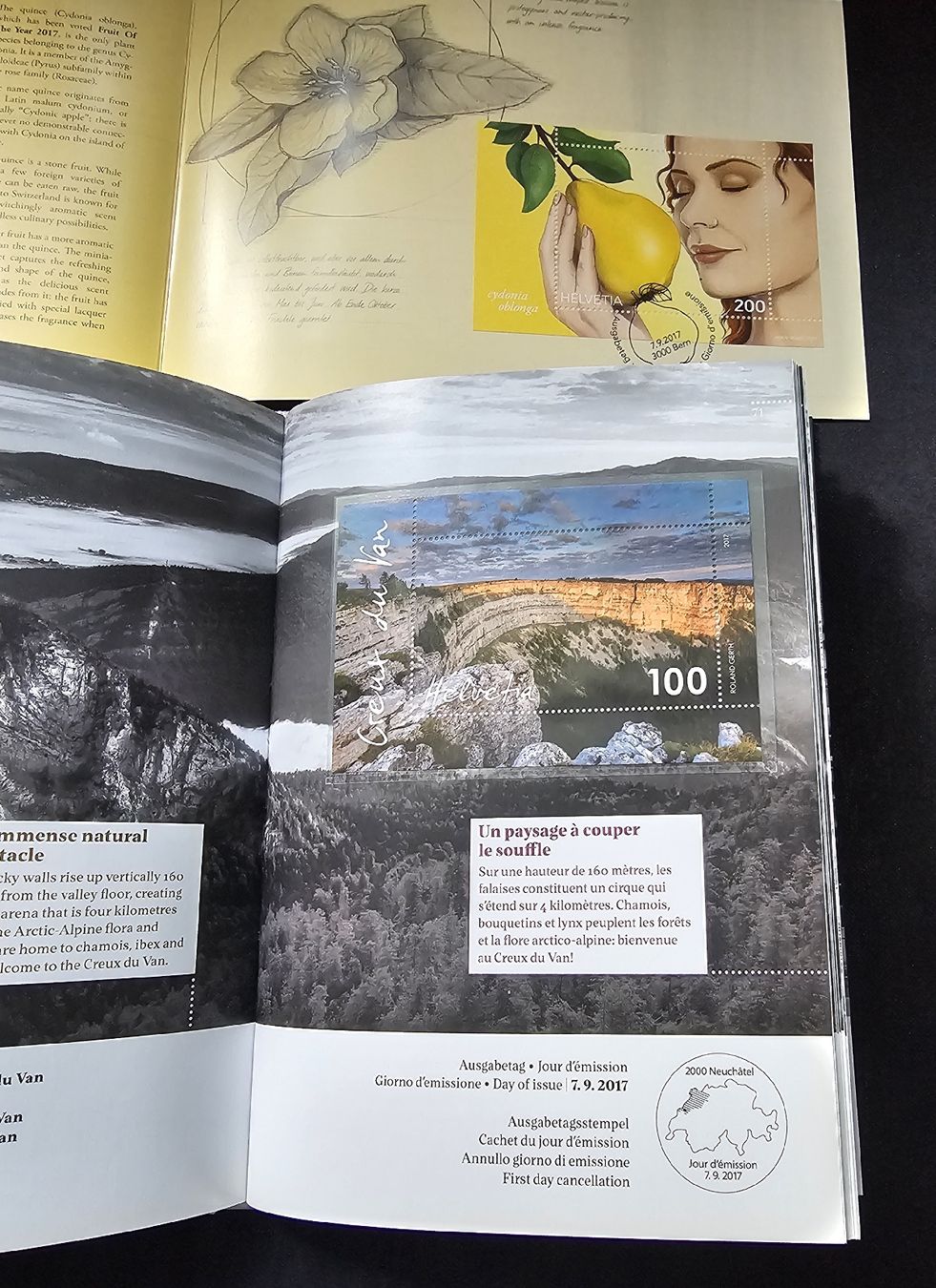 Tutti i francobolli: Schweizer Briefmarken Jahrbuch 2017, inkl. Folder Sonderbloc – Nuovo (secondo la descrizione) da Wangen b. Olten venduto da ErikaK06 5