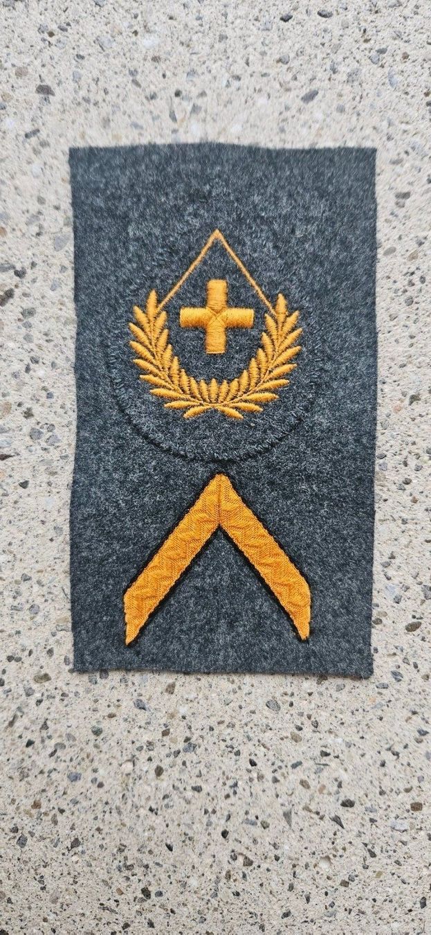 Schweizer Armee Placchette & Badge: *** Militär Abzeichen *** – Nuovo e nell'imballaggio originale da Riedholz venduto da fr_sIruP