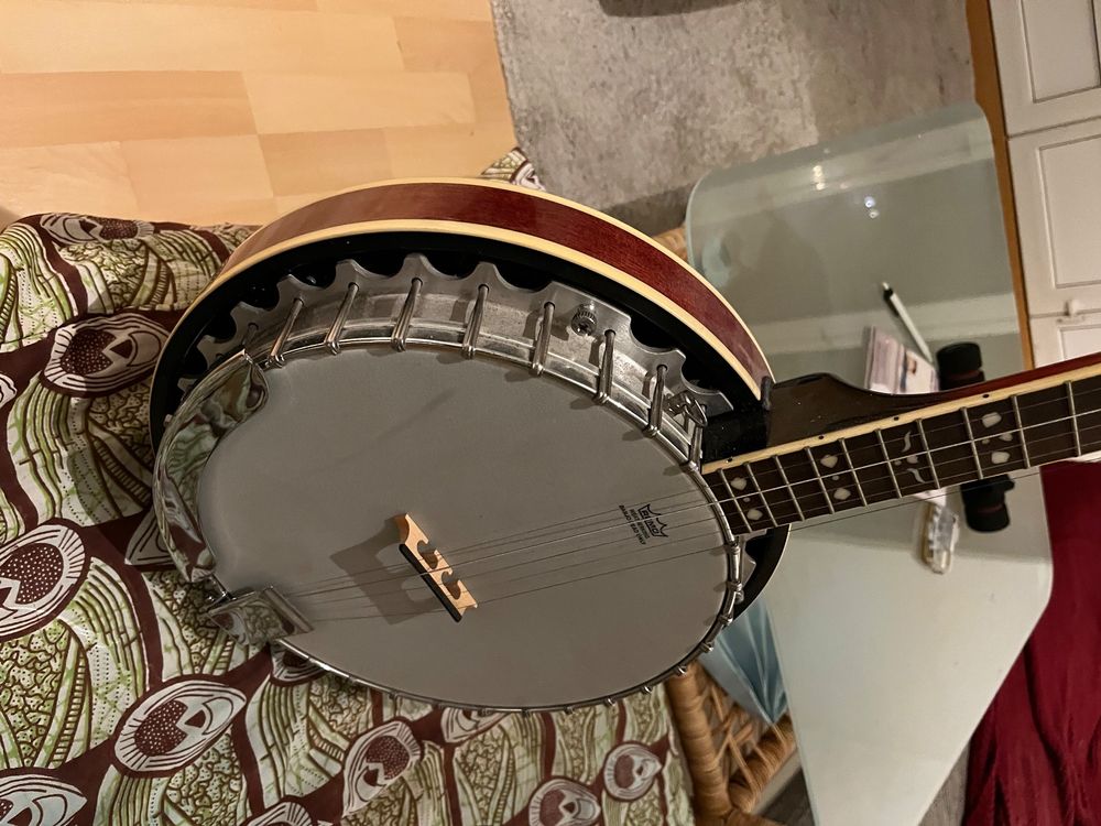 Fender Banjo Kaufen auf Ricardo