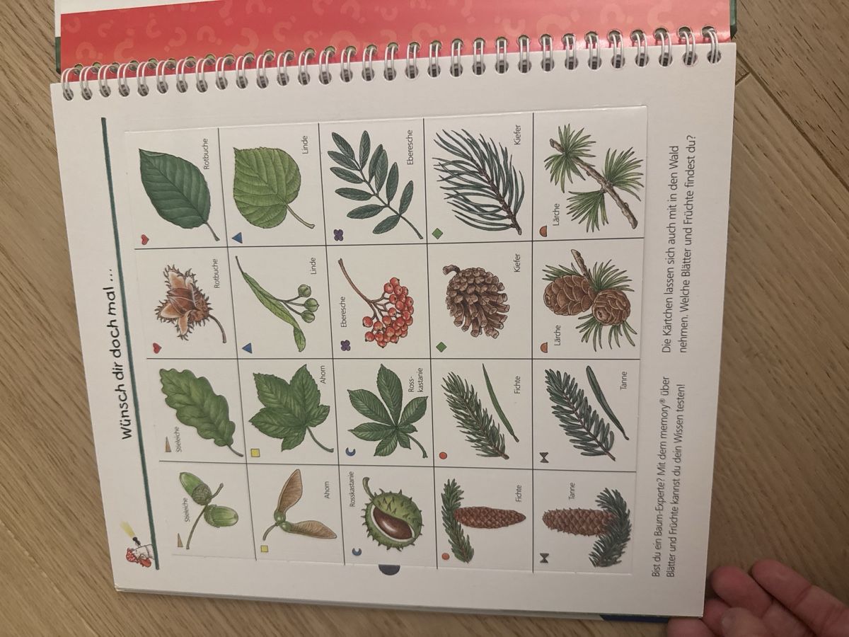 Libri: Buch Wir entdecken den Wald Ravensburger 4-7 Jahre – Usato da Zollikerberg venduto da juneja79 1