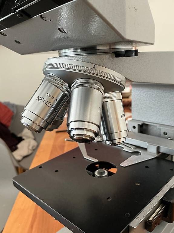 Microscopi: Mikroskop Leitz wetzlar – Usato da Basel venduto da lau5 3