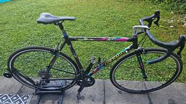 Colnago C40 Lampre Edition  G 53  Campagnolo Chorus 12-fach