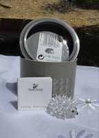 Swarovski Silver Crystal – Igel (A 7669) OVP & Zertifikat
