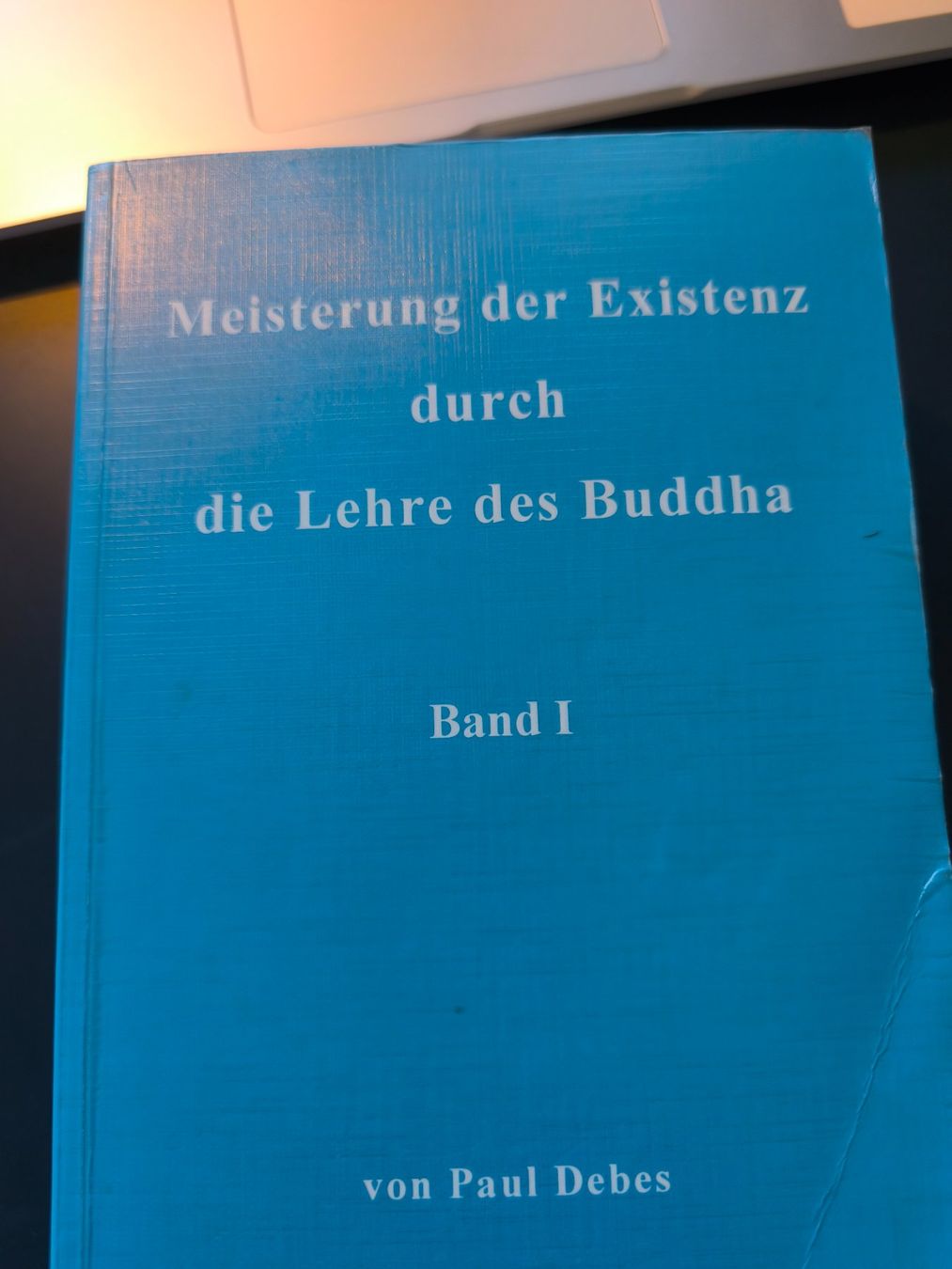 Bücher: Meisterung der Existenz durch die Lehre des Buddha – Gebraucht aus Aarau von gurnigel65 1