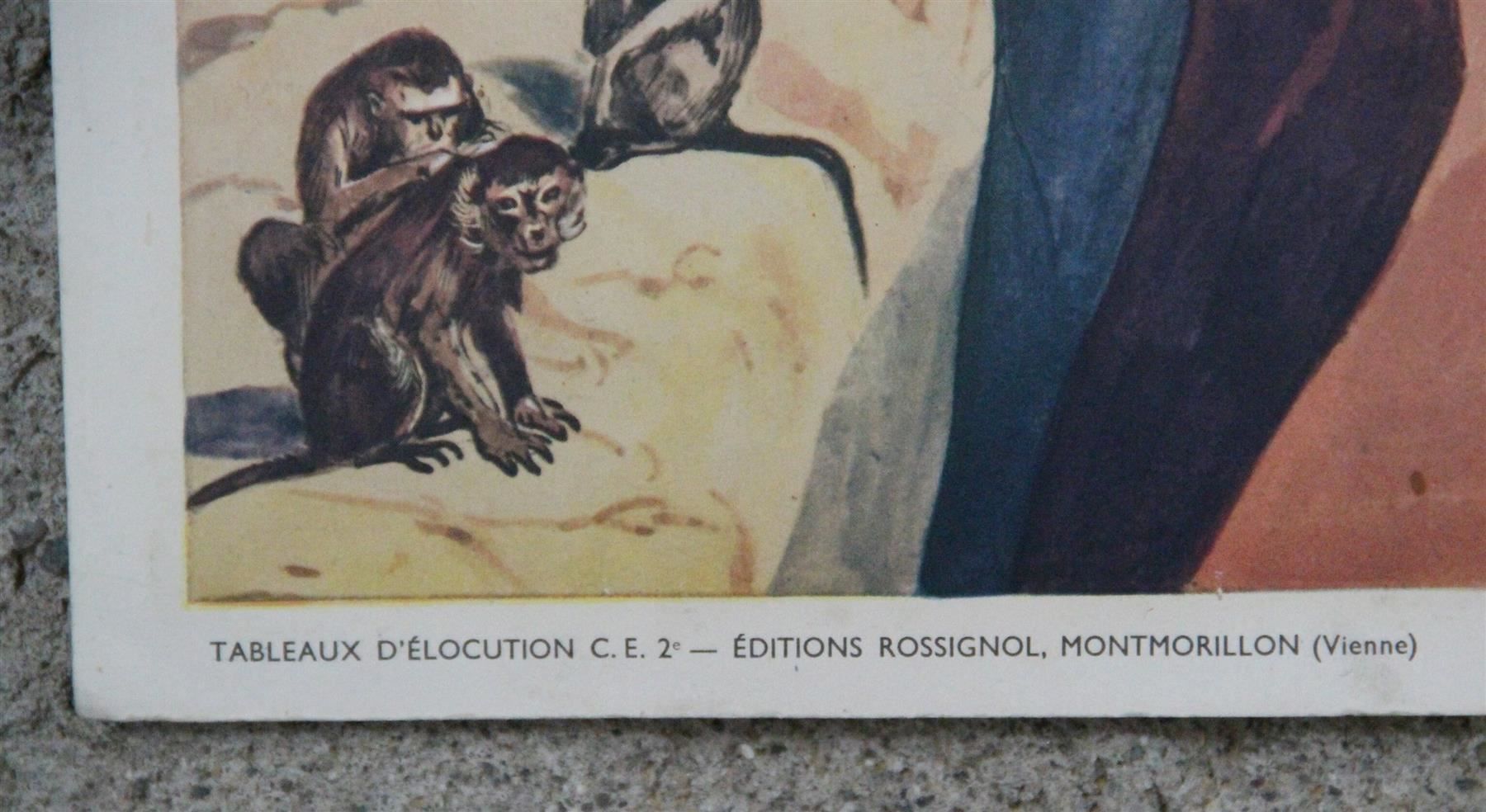Poster & Bilder: doppel Schulwandbild "au Zoo, le stade" – Gebraucht aus Birrwil von brandschatz_birrwil 9