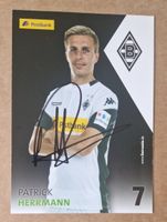 Patrick Herrmann - Borussia Mönchengladbach - handsigniert