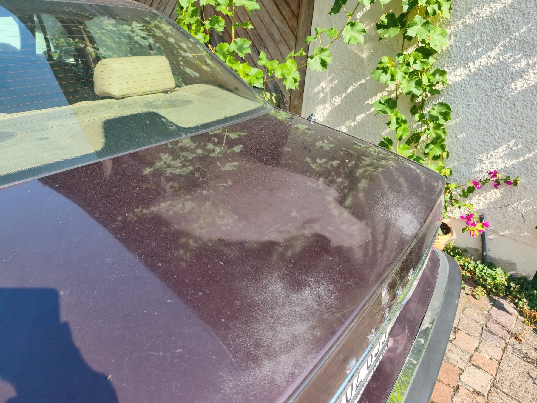 Buick Autos: Buick park avenue 1994 – Gebraucht aus Biel von jan_g726 4