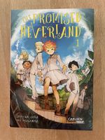 Manga Comic