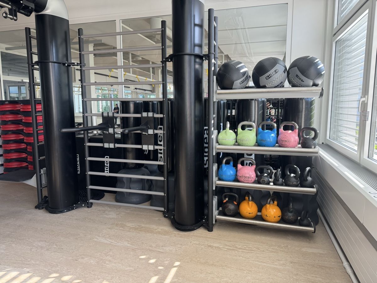 Technogym Hometrainer: Technogym OUTRACE R2-500 AVANTGARDE Functional Tower  – Usato da Wallisellen venduto da witzigs 3