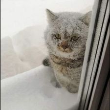 Profile image of sam_25ss