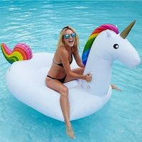 Neues aufblasbares Einhorn, Neupreis 129