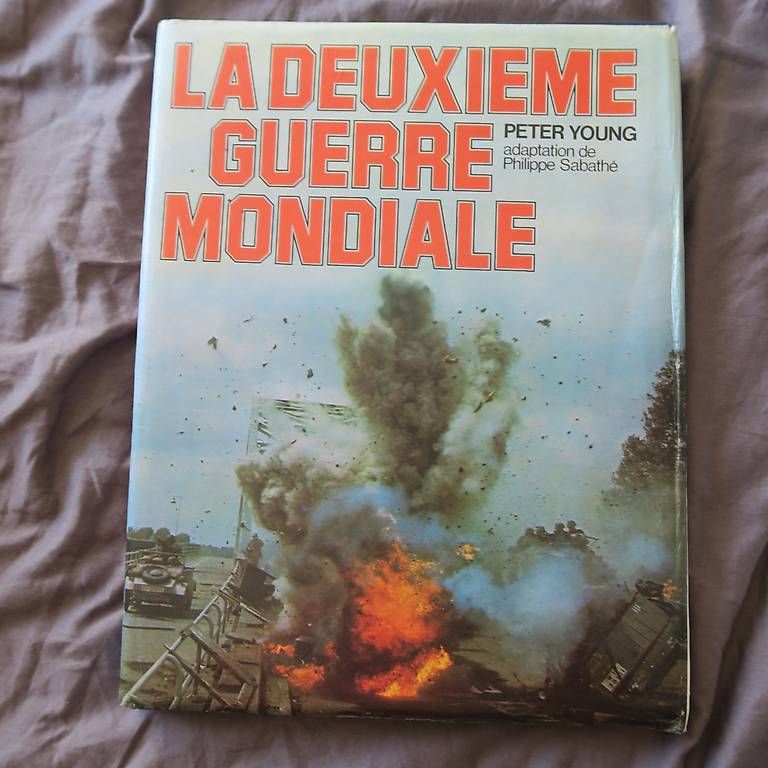 Libri: Livres à 5 francs l'unité – Usato da Neuchâtel venduto da Mimijamet