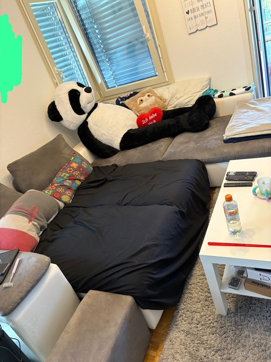 Sofas: Couch mit Schlaffunktion – Gebraucht aus Reiden von Pale.04