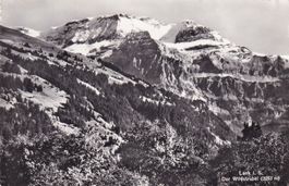 Lenk i. S. Der Wilstruber
