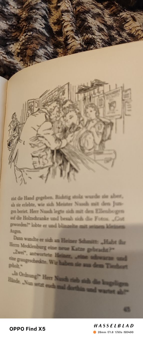 Libri: Der Hund mit dem halben Ohr – Usato da Volken venduto da katz5 4