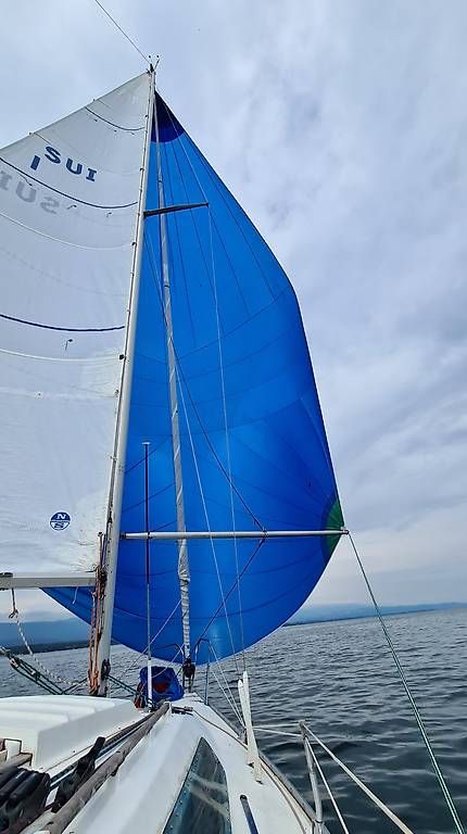 Bateaux: Voilier Verl 790 – D'occasion à Cartigny par guyoche 2