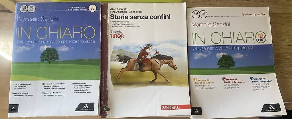 Libri: Vendo 6 libri di scuola  – Usato da Ligornetto venduto da val_z7dy
