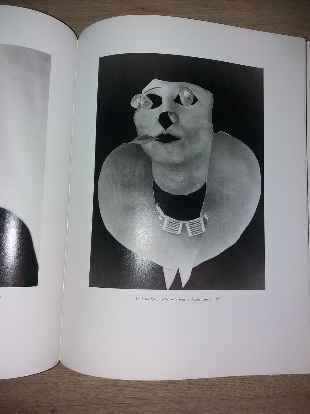 Libri: FOTOKLASSIKER Blumenfeld gesamtwerk – Usato da Welschenrohr venduto da Regool 2