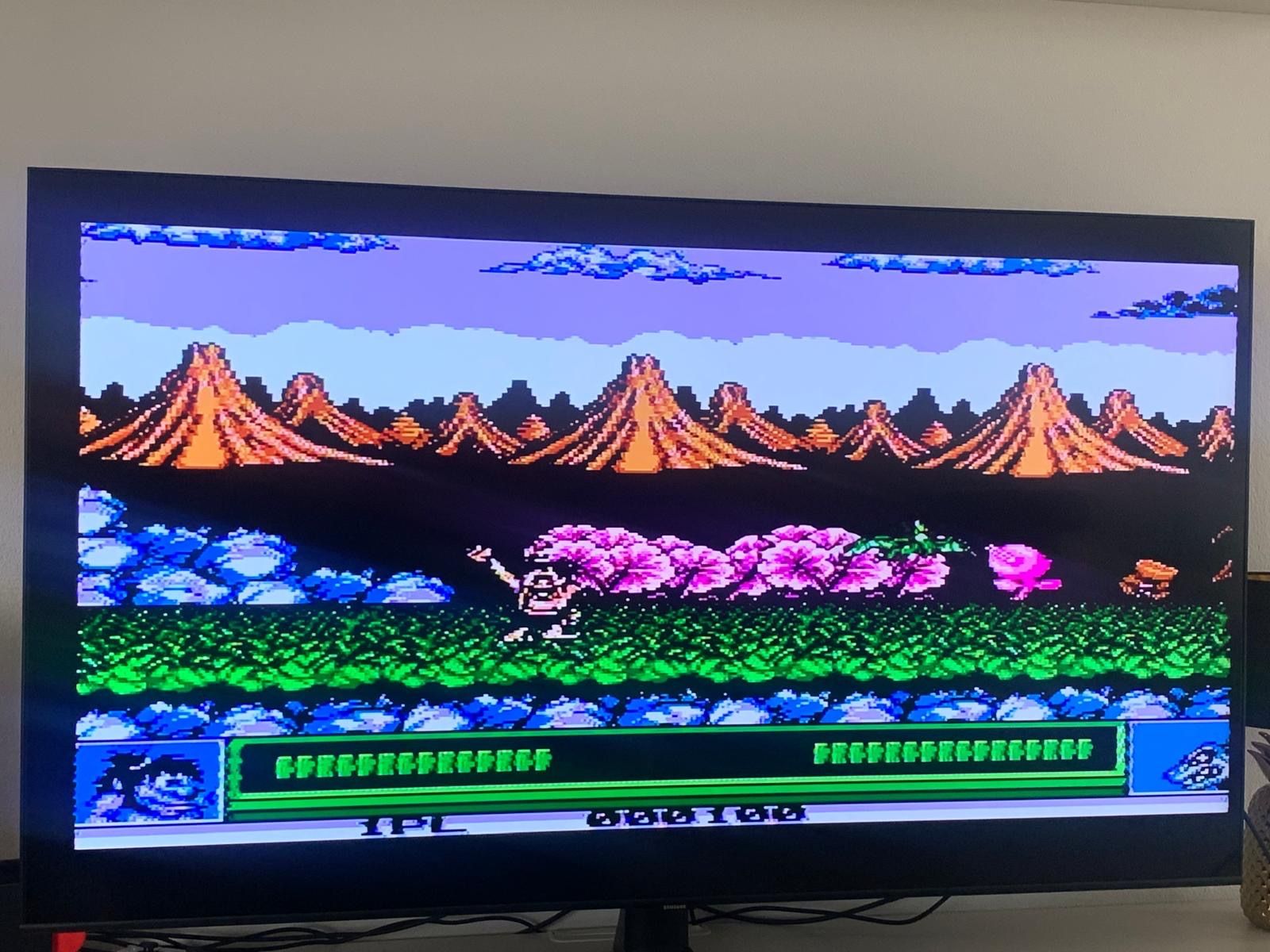 Nintendo Giochi: Joe & Mac Caveman Ninja NES – Usato da Dübendorf venduto da Shreck 2