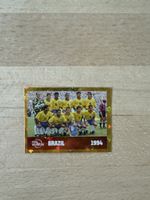 Panini FWC15