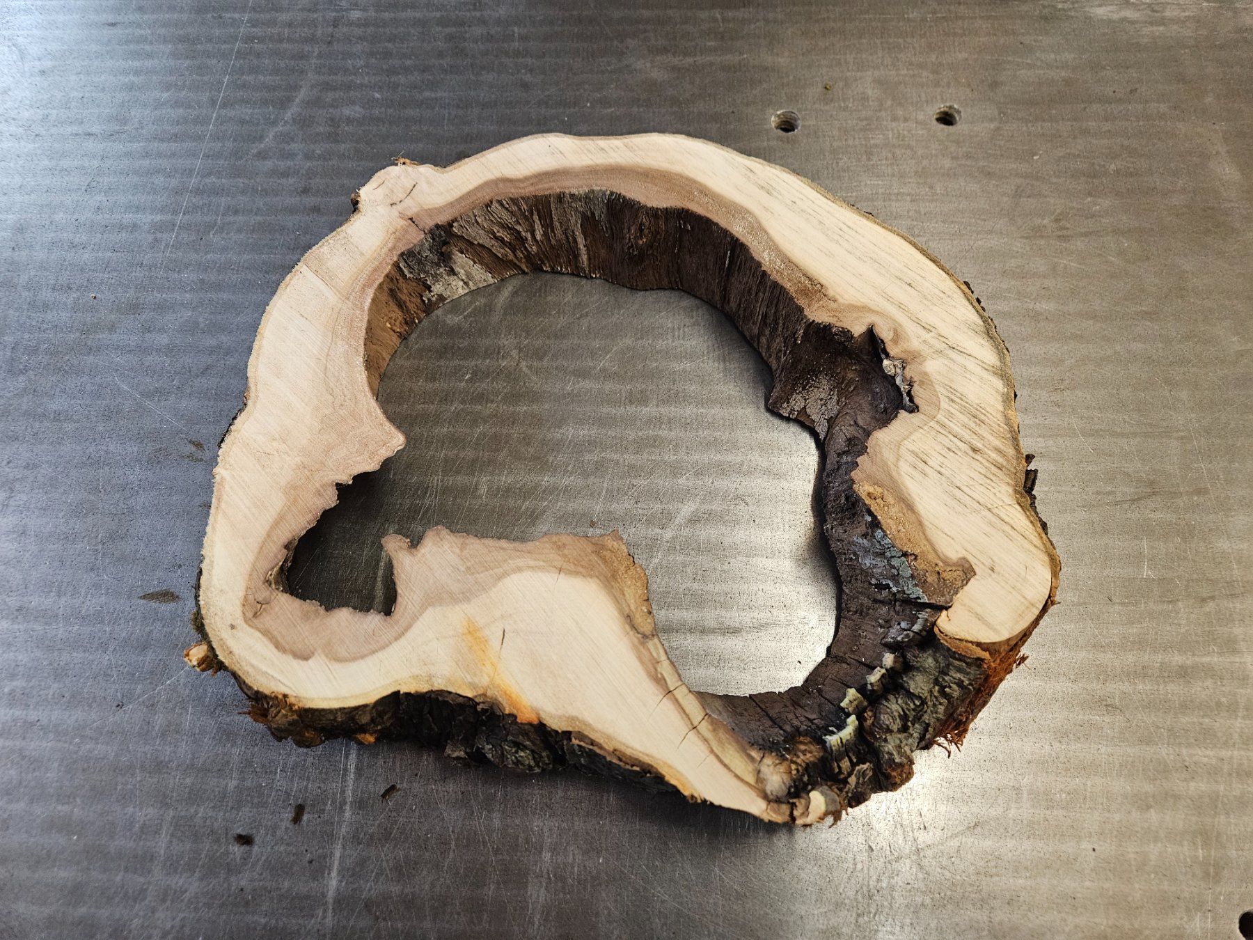 Articoli in legno: Baumscheibe Apfelbaum – Nuovo (secondo la descrizione) da Schangnau venduto da egli6.2 4