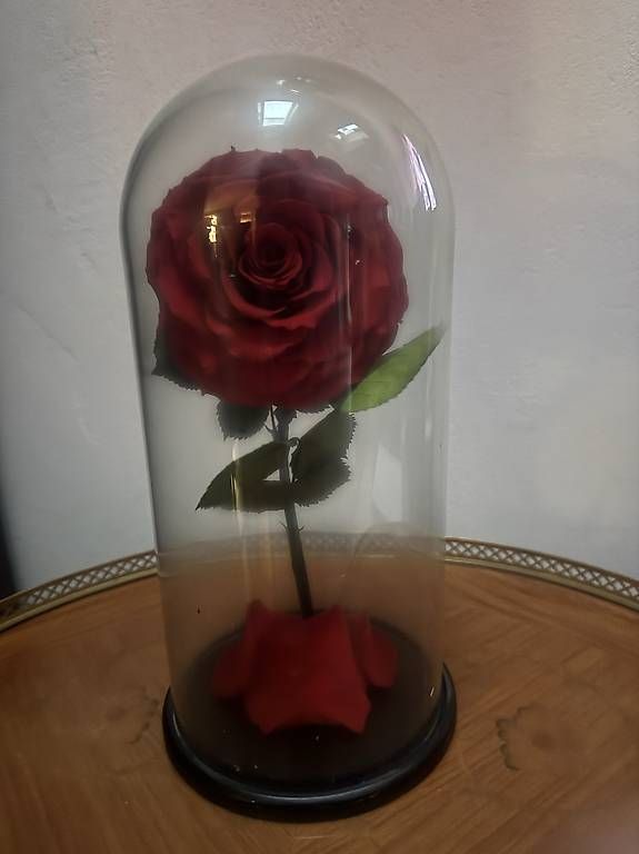 Alle Dekorationen: Grande rose éternelle  – Gebraucht aus Le Châble VS von mtp_6k9b 1