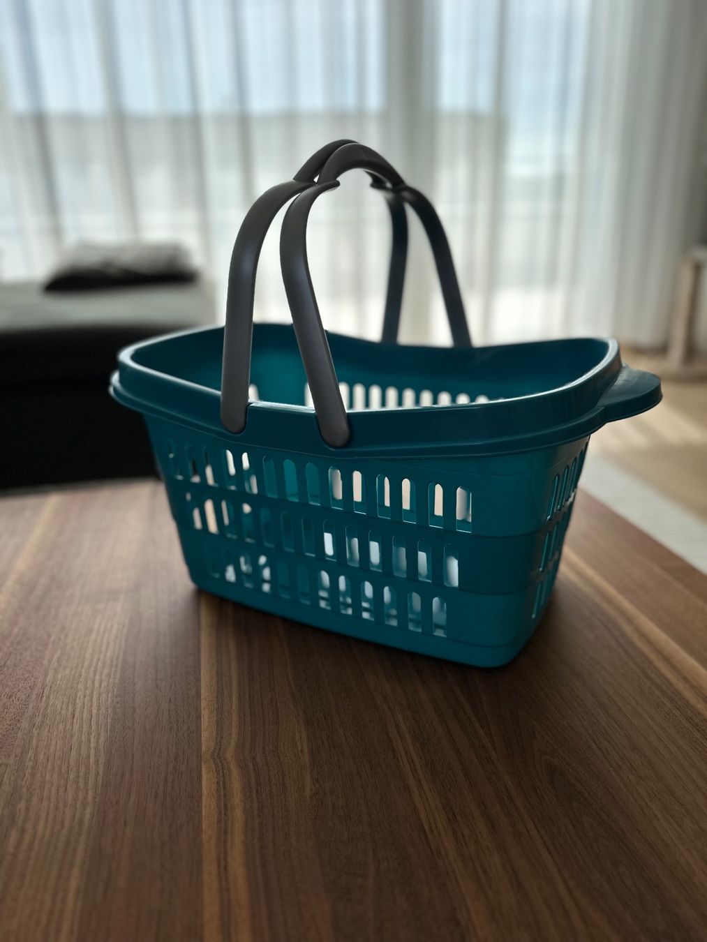 Altro per la casa: Einkaufskorb - Easy Home - Kunststoff – Usato da Märstetten venduto da fab_wf2v 1