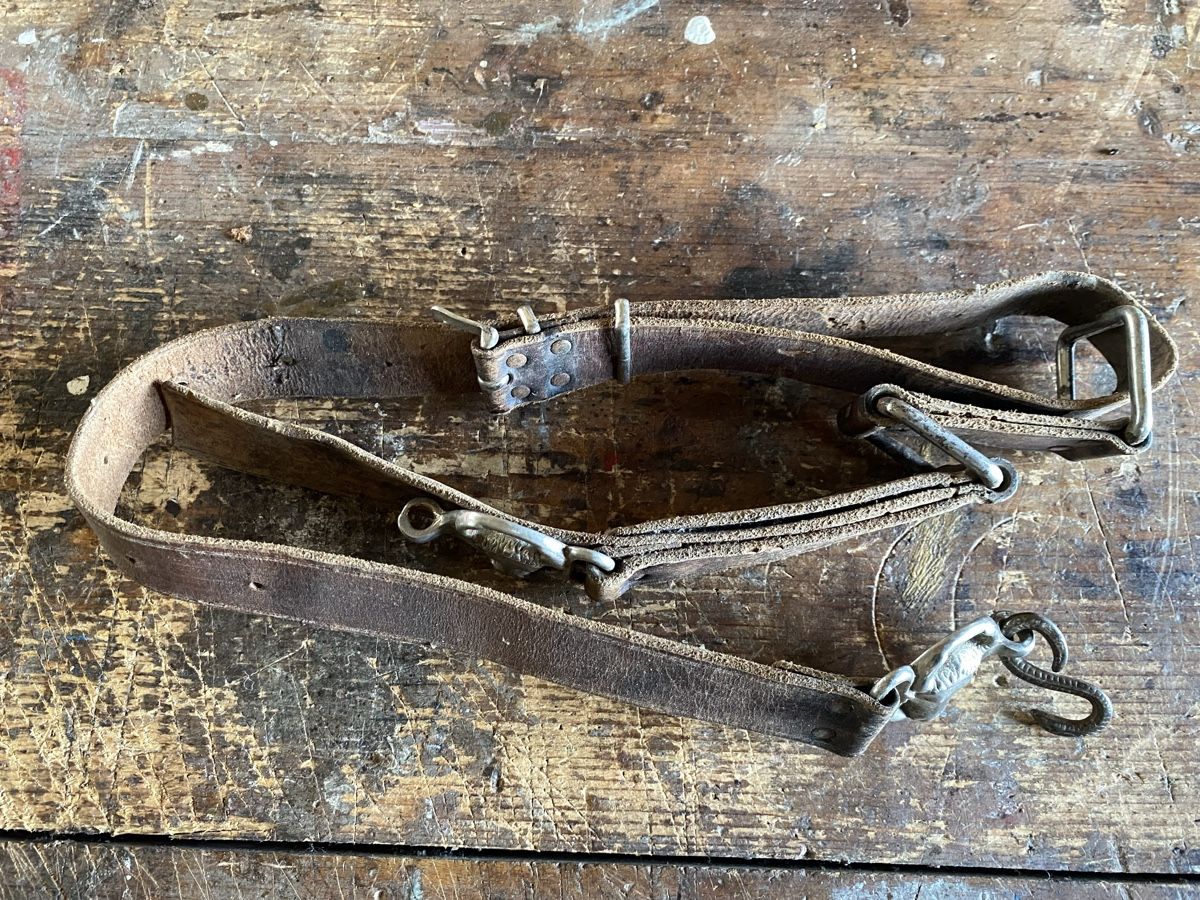 Uniformi: Alter Metzgergurt mit Bullenköpfe – Usato da Zimmerwald venduto da Holzdata1 1
