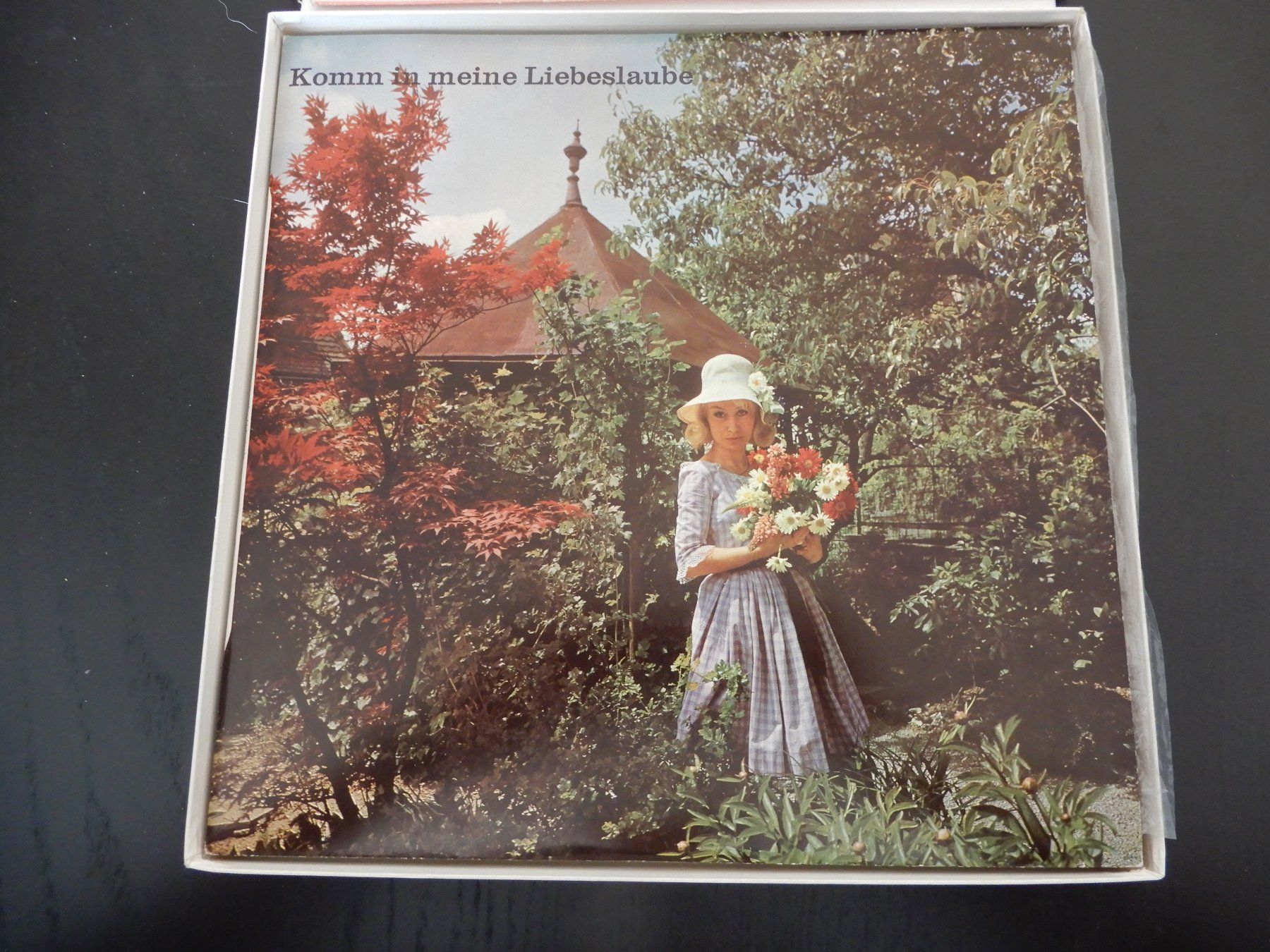 Vinyles: Wie einst im Mai – D'occasion à Erstfeld par Mario_boe0 5
