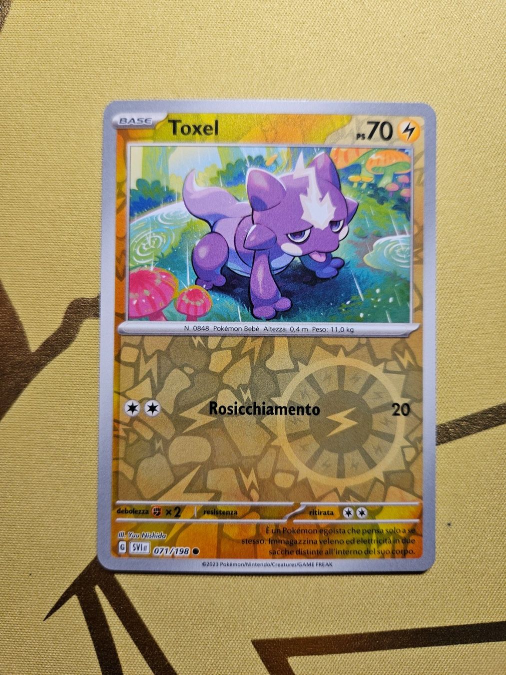 Pokémon Carte collezionabili: Scarlet & Violet - Toxel – Usato da Bellinzona venduto da Pokemarco