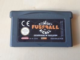 die wilden Fussball Kerle