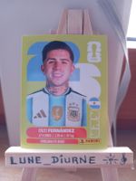 Carte Panini FIFA World Cup 2026 Enzo Fernández ARG8