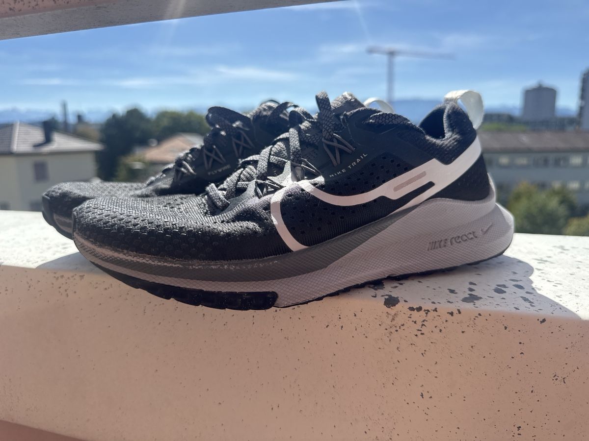 Nike Herrenschuhe: Nike trail pegasus – Gebraucht aus Fribourg von Jayaeby