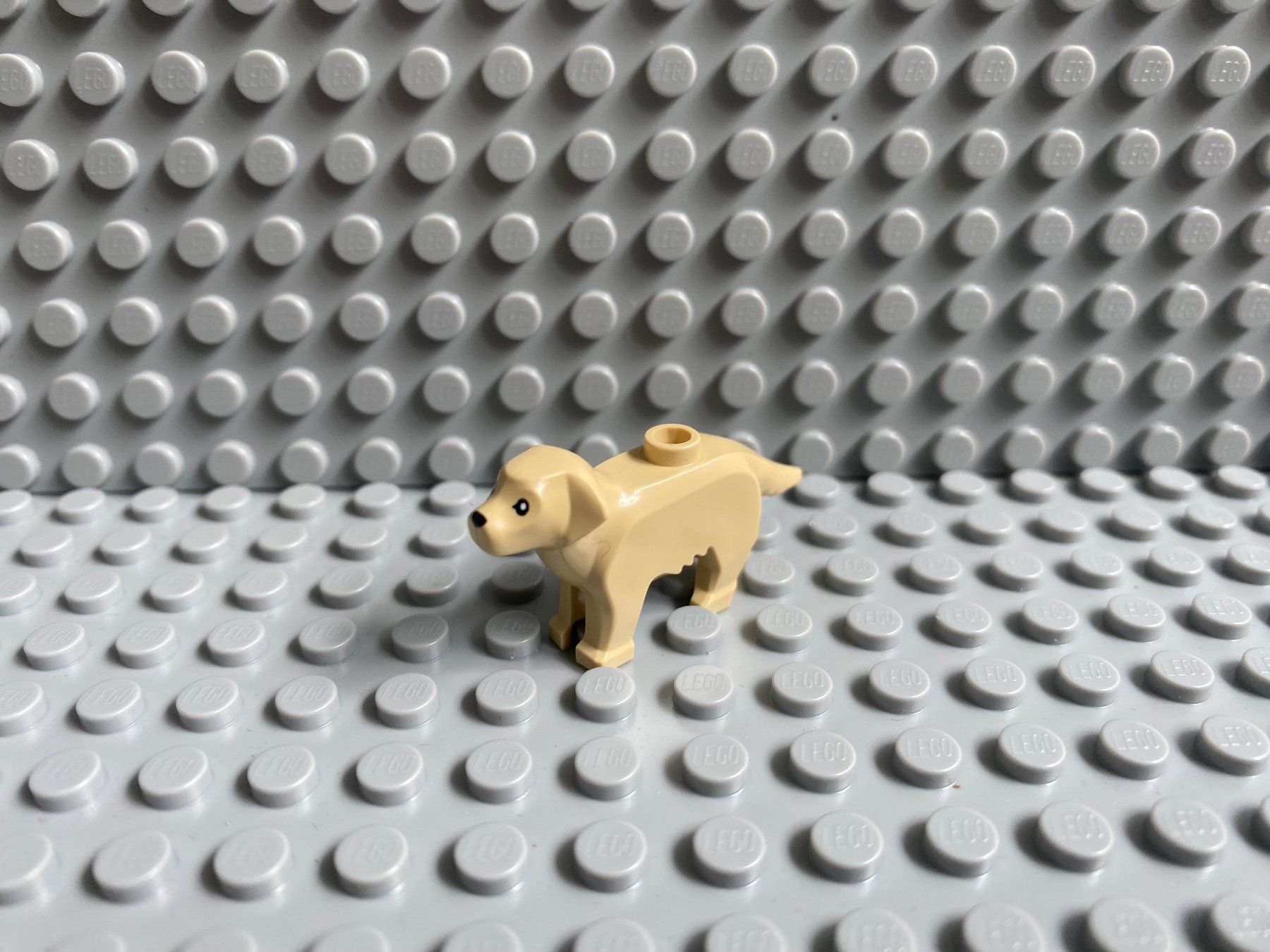 Lego Baukästen: Lego Tiere - Hund Labrador – Neu (gemäss Beschreibung) aus Horw von G39517sG