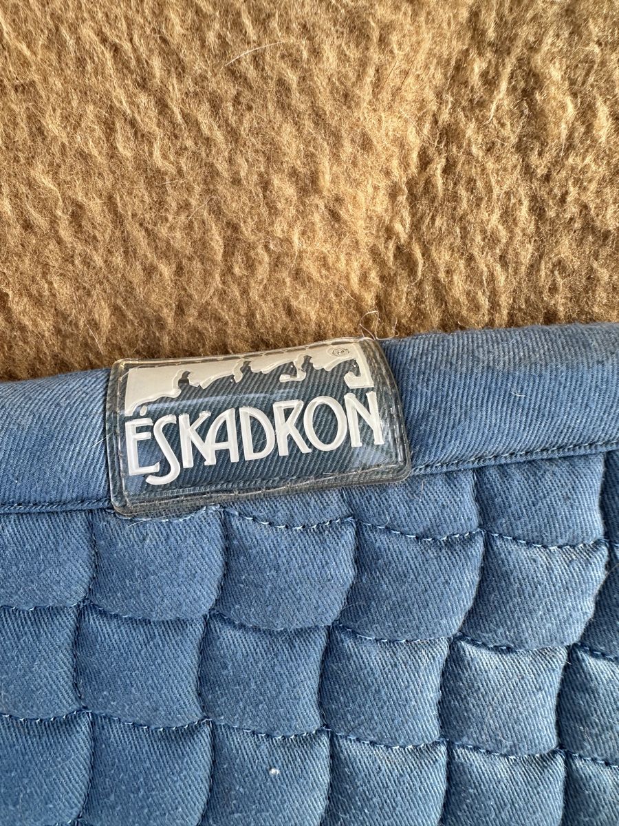 Eskadron Coperte: Schöne Eskadron Schabracke VS – Usato da Wolfhalden venduto da Itss_michelle03 1