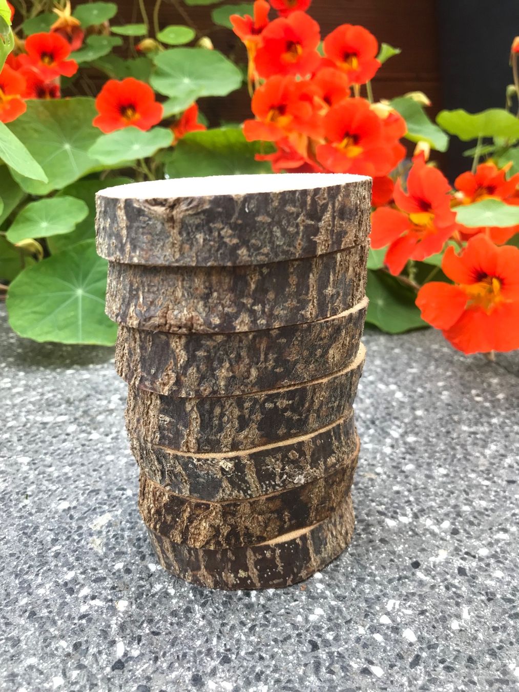 Articoli in legno: Holzscheiben – Nuovo e nell'imballaggio originale da Buttwil venduto da mina010 2