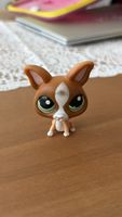 Littlest Pet shop Chihuahua #1568