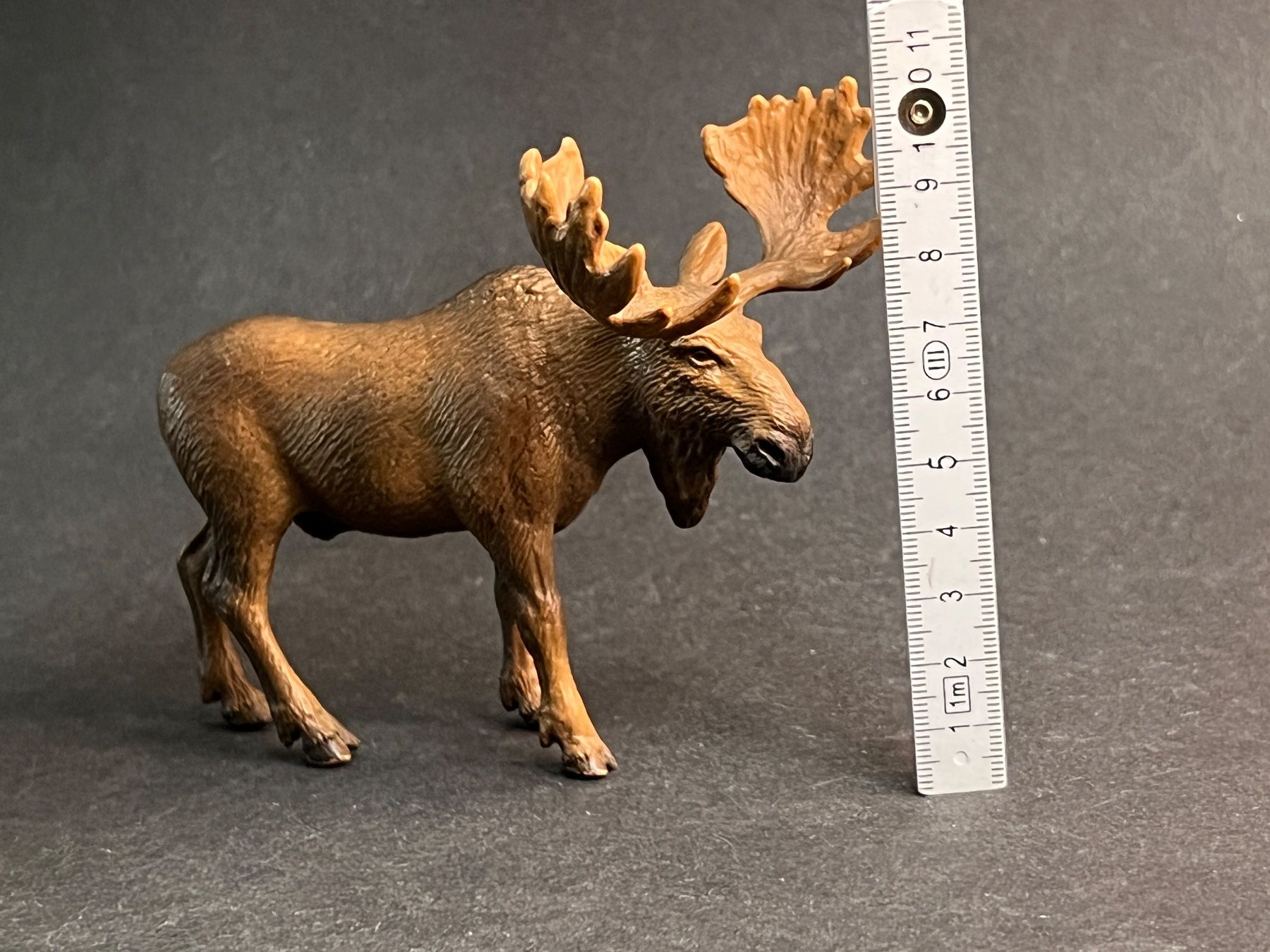Schleich Figuren: Schleich 14619 - Wild Life, Elch Bulle – Gebraucht aus Ennetbaden von mapa05 1