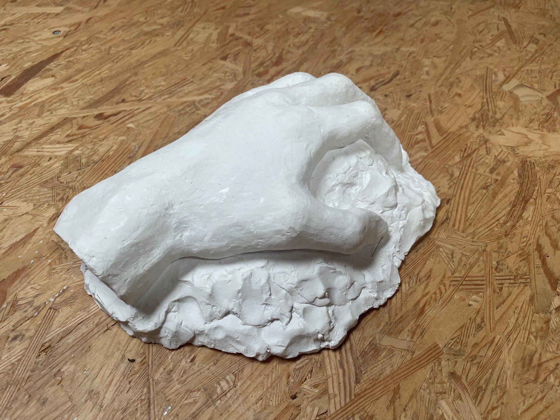 Sculture & Statue: Anatomiestudie Hand aus Gips – Usato da Zürich venduto da Caro55 2